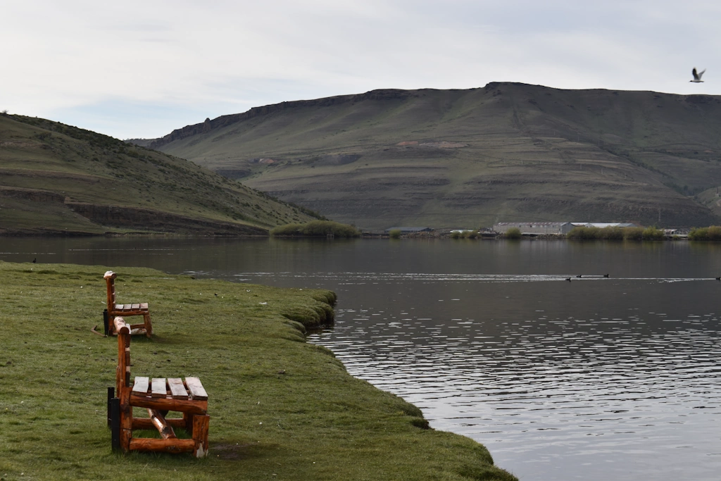 DE USHUAIA A RÍO TURBIO PASANDO POR PUNTA ARENAS: LA RUTA QUE UNE EL FIN DEL MUNDO CON LA CUENCA CARBONÍFERA