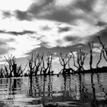 epecuen